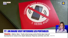 Seine-et-Marne: le maire de Seine-Port souhaite interdire les portables dans l'espace public