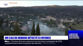 Var: un cas de dengue détecté à Fayence