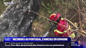 Incendies au Portugal, canicule en Espagne... la péninsule ibérique étouffe sous les fortes chaleurs