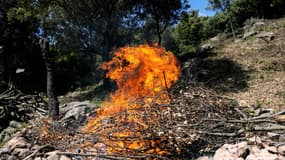 Le débroussaillage est obligatoire dans les zones à risque d'incendie, par exemple dans de nombreux départements du sud de la France. Perpignan (France), mai 2022. (Photo d'illustration)