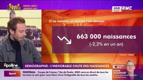 Démographie : L'inexorable chute des naissances