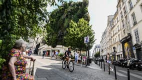 Des personnes passent devant un mur végétal de la rue d'Aboukir, à Paris, le 13 juillet 2019.
