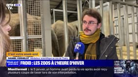 Emmanuel Macron Froid : les zoos à l'heure d'hiver - 13/01