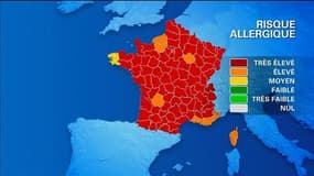 Comment se prémunir contre les allergies au pollen