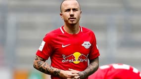 Angelino (Leipzig)