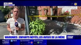 Enfants retrouvés morts noyés à Wargnies-le-Grand: la mère a avoué les faits