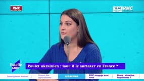 Le Zapping RMC - 31/01