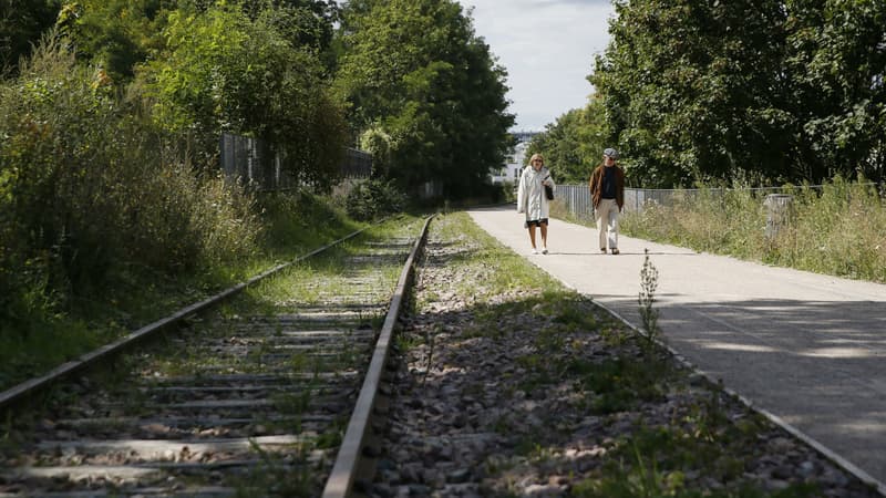 La Petite ceinture, ancienne voie ferroviaire a été en partie transformée en promenade.
