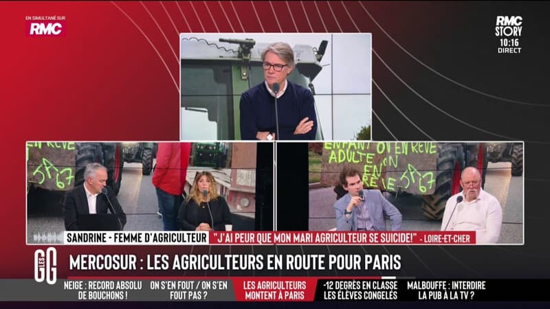 Mercosur: "On vit avec l'angoisse" témoigne une femme d'agriculteur