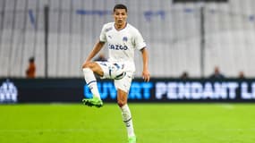Amine HARIT
