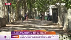 C'est votre avis : Comment vivre pendant la canicule ? - 18/08