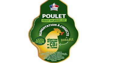 Bientôt du poulet nourri aux insectes vendu chez Auchan