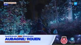 Arbora Lumina au domaine d'Harcourt - La météo de Colas du vendredi 5 décembre 2025