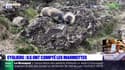 Eygliers: des bénévoles comptent les marmottes