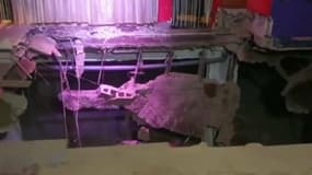 Les images du gigantesque trou après l'effondrement du sol d'une discothèque à Tenerife