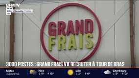 Grand Frais annonce le recrutement de plus de 3.000 personnes