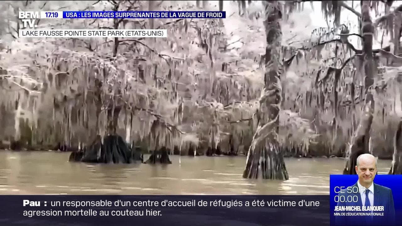 Les Images Surprenantes De La Vague De Froid Aux États Unis