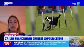 Ligne directe: une francilienne crée les Jeux olympiques pour chiens