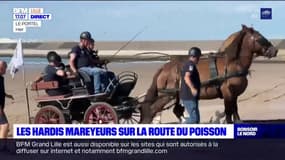Hauts-de-France: les Hardis mareyeurs sur la Route du Poisson