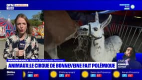 Marseille: le cirque de Bonneveine installé dans le 8e arrondissement malgré l'avis défavorable de la mairie