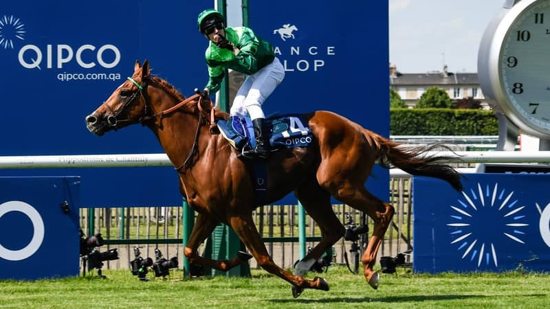 Sottsass, vainqueur du Prix du Jockey Club