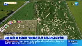 Vacances d'été: le labyrinthe des falaises en Seine-Maritime