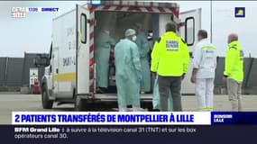 Lille: deux patients d'Occitanie transférés au CHU