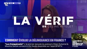 LA VÉRIF - Comment évolue la délinquance en France ?