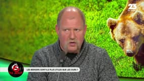 La GG du jour: Faut-il réintroduire les ours dans les Pyrénées ? - 30/04