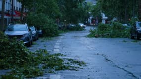 Des arbres tombés sur la route après le passage d'un orage violent à Paris, le 26 juin 2025.