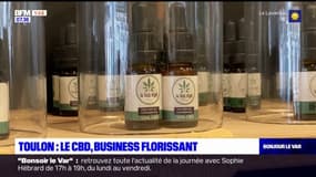 Toulon: le business florissant du CBD