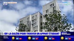 Île-de-France: la galère des étudiants pour trouver un logement