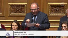 Laurent Duplomb (LR): "Les agriculteurs n'acceptent plus cette folie administrative, qui tue les paysans petit à petit"