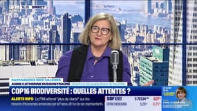 Ce que la biodiversité rapporte aux investisseurs - 23/10