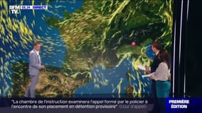 Météo des forêts: à quel moment un département passe-t-il en vigilance rouge? 