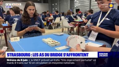 Strasbourg: les jeunes joueurs de bridge s'affrontent pendant dix jours