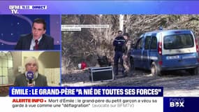 L'avocate du grand-père d'Émile sur BFMTV - 28/03