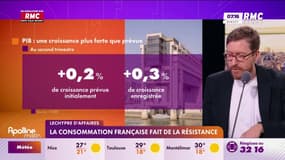 La consommation française fait de la résistance