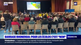 Les écologistes opposés à un projet de barrage hydroélectrique sur le Rhône