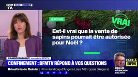 Est-il vrai que la vente de sapins sera autorisée pour Noël ? BFMTV répond à vos questions