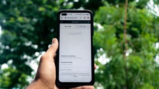 Malgré l'explosion des services d'intelligence artificielle générative comme ChatGPT, les taux d'emplois dans les pays de l'OCDE sont à des plus hauts historiques.