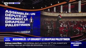 LES ÉCLAIREURS - Assemblée: un député brandit le drapeau palestinien
