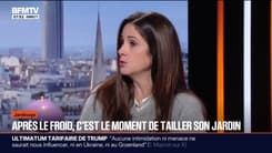 Jardinage: l'hiver, la bonne saison pour tailler ses arbres 