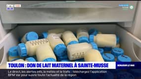 Toulon: sensibilisation au don de lait maternel à l'hôpital Saint-Musse