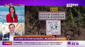 La Corse va payer les billets... de 250.000 touristes