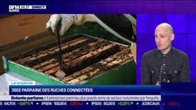 Christophe Pilcher (3Bee) : 3Bee parraine des ruches connectées - 08/03