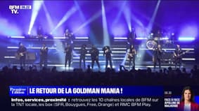"L'Héritage Goldman", la tournée qui réunit toutes les générations 