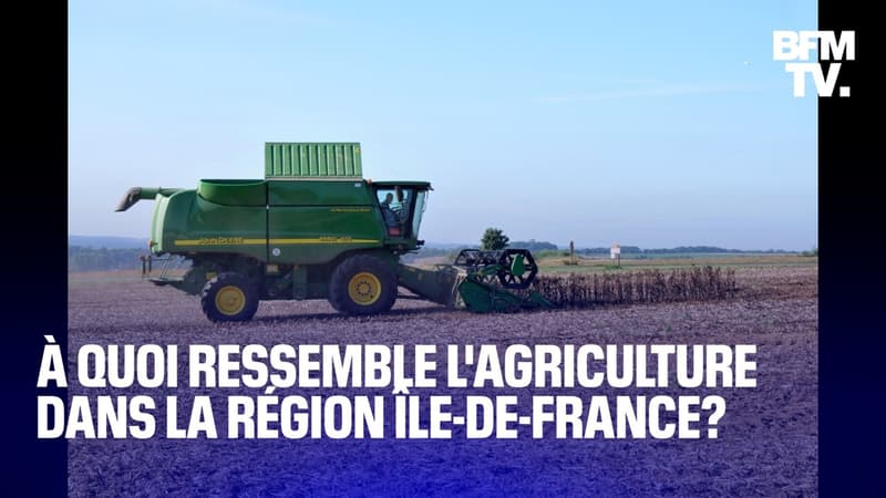 À quoi ressemble l'agriculture en Île-de-France?
