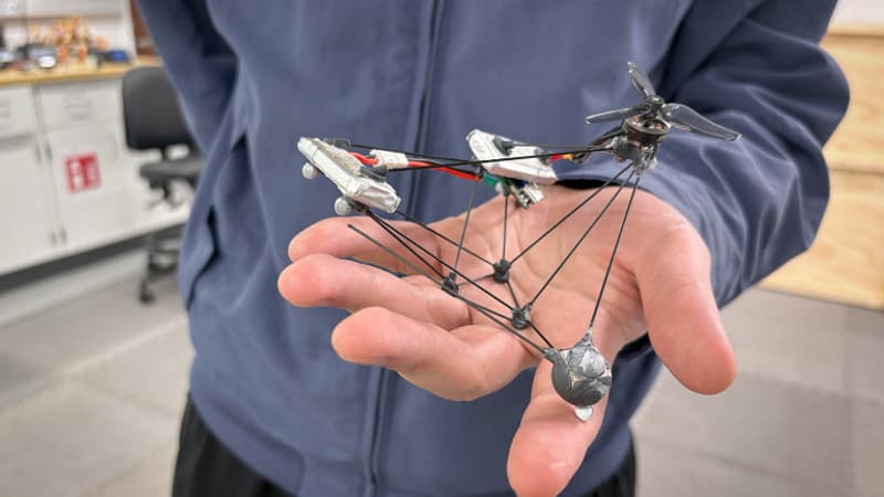 Ce drone tourne sur lui-même 25 fois par seconde, et devient ainsi presque invisible pour les humains et certains animaux: ces concepteurs espèrent en faire un discret observateur de la faune