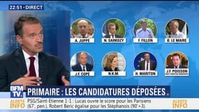 Primaire de la droite: la Haute Autorité a enregistré 11 candidatures (2/3)